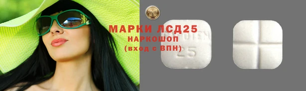 хмурый Покачи