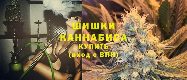 PSILOCYBIN Приозерск